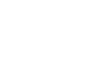 Neuro Emotional Technique Logo